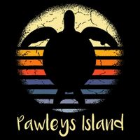 Pawleys Island South Carolina Sc Loggerhead Sea Turtle Lover Backpack