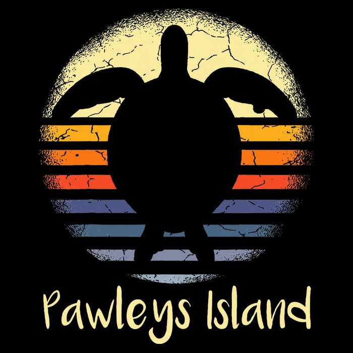 Pawleys Island South Carolina Sc Loggerhead Sea Turtle Lover Backpack