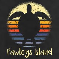 Pawleys Island South Carolina Sc Loggerhead Sea Turtle Lover Beanie
