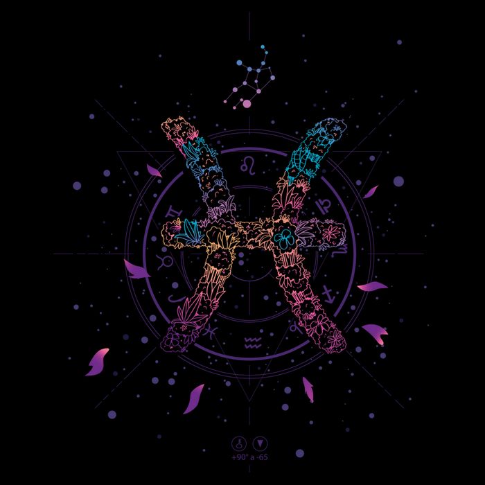 Pisces Floral Zodiac T-Shirt