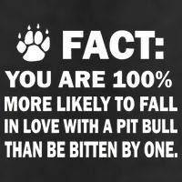 Pit Bull Funny Fact Adult Drive Performance Visor