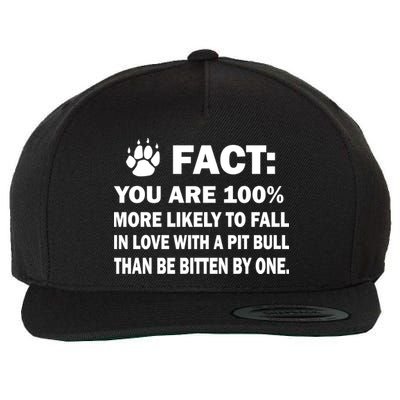 Pit Bull Funny Fact Wool Snapback Cap