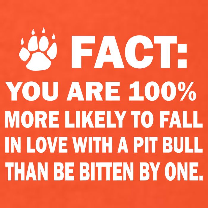 Pit Bull Funny Fact Button
