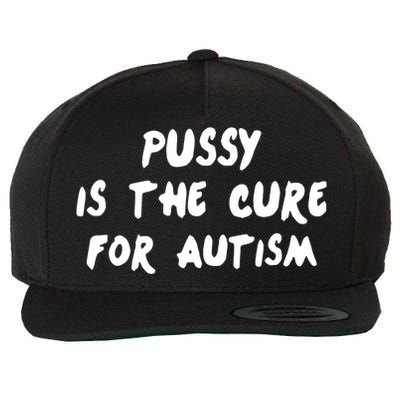 Pussy Is The Cure For Autism Positive Message Wool Snapback Cap