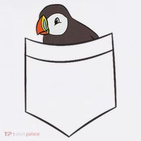 Puffin In The Pocket Seabird Iceland Pocket Puffin Wool Snapback Cap