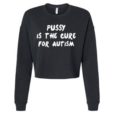 Pussy Is The Cure For Autism Cropped Pullover Crew
