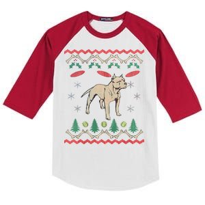 Pitbull Ugly Christmas Sweater Kids Colorblock Raglan Jersey