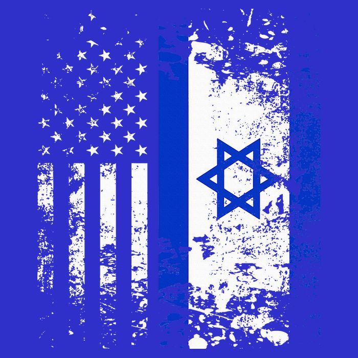 Proud Israeli Usa Flag Patriotic Pride American Israel Flag 16 in Basic Backpack