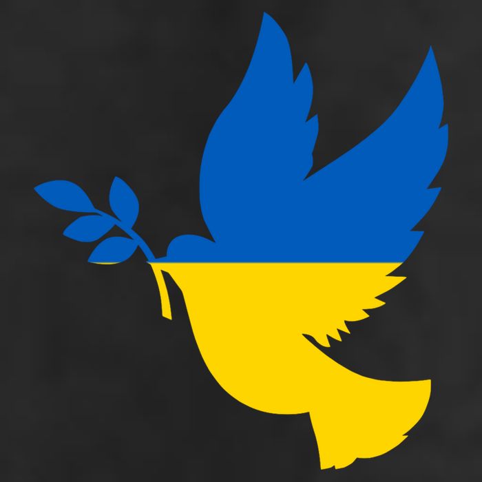 Peace In Ukraine Dove Adult Drive Performance Visor