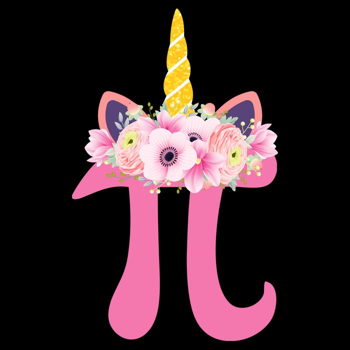 Unicorn Pi Day Flat Bill Trucker Hat