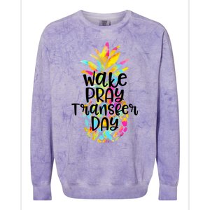 Pineapple Infertility Wake Pray Transfer Day Ivf Shots Gift Meaningful Gift Colorblast Crewneck Sweatshirt