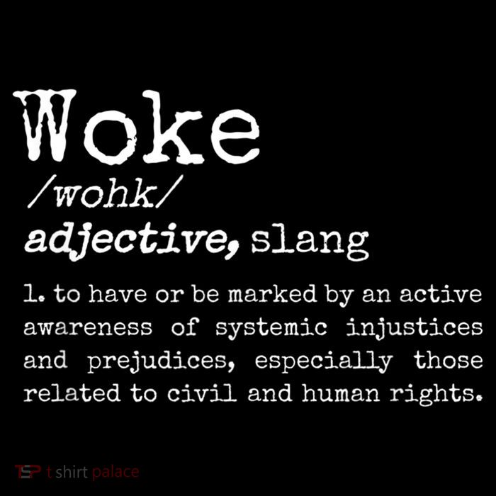 Politically Informed Woke Meaning Dictionary Definition Woke Premium T-Shirt