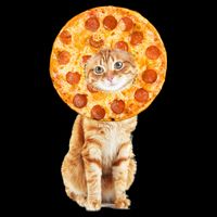 Pizza Cat Apron