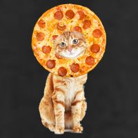 Pizza Cat Adult Drive Performance Visor