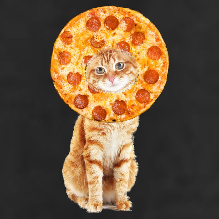 Pizza Cat Adult Drive Performance Visor