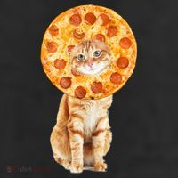 Pizza Cat 11oz C Handle Ceramic Mug