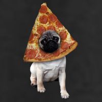 Pizza Pug Dog Adult Drive Performance Visor