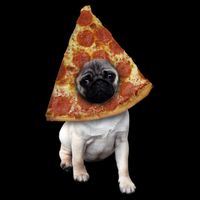 Pizza Pug Dog 16 in Basic Backpack