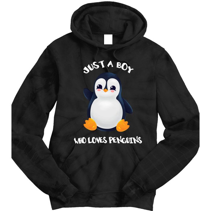 Penguin Just A Boy Who Loves Penguins Gift Tie Dye Hoodie