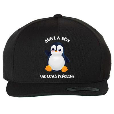 Penguin Just A Boy Who Loves Penguins Gift Wool Snapback Cap