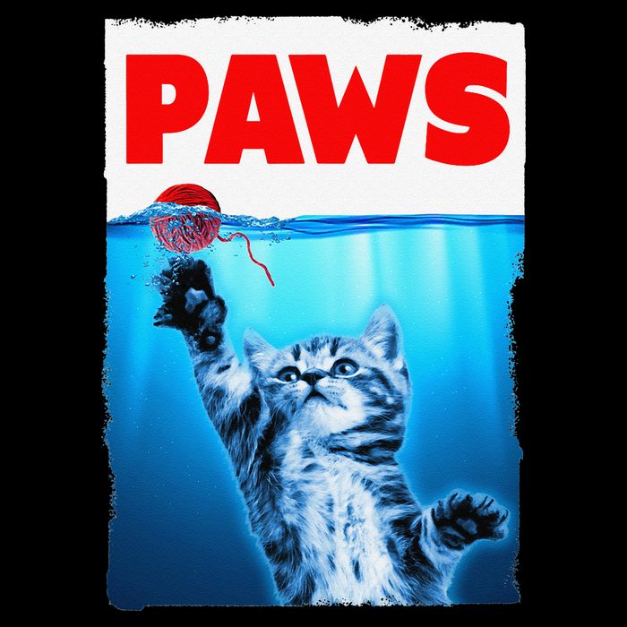 Paws Jaws Kitten Ball String For  Feline Lovers 16 in Basic Backpack