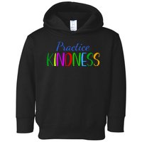 Practice Kindness Colorful Toddler Hoodie