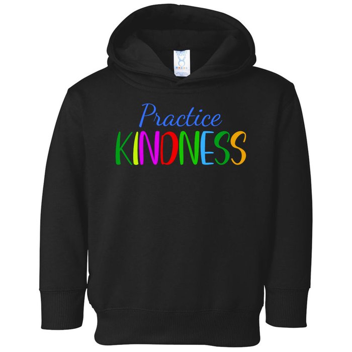 Practice Kindness Colorful Toddler Hoodie