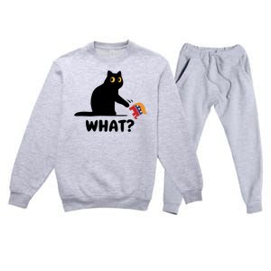 President Kamala Harris 2024 Victory Funny Antitrump Cat Premium Crewneck Sweatsuit Set