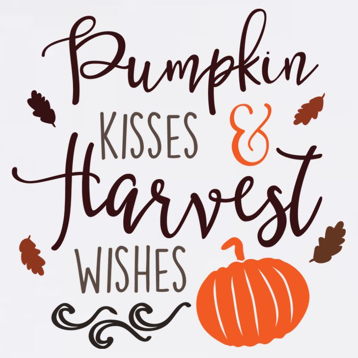 Pumpkin Kisses Harvest Wishes T-Shirt