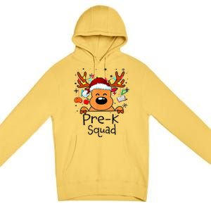 Pre K Squad Reindeer Funny Teacher Christmas Lights Cool Gift Premium Pullover Hoodie