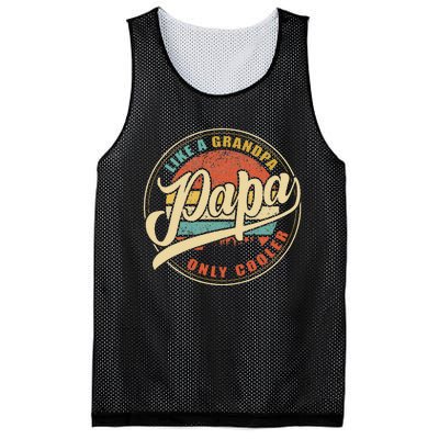 Papa Like A Grandpa Only Cooler Funny Dad Papa Definition Mesh Reversible Basketball Jersey Tank