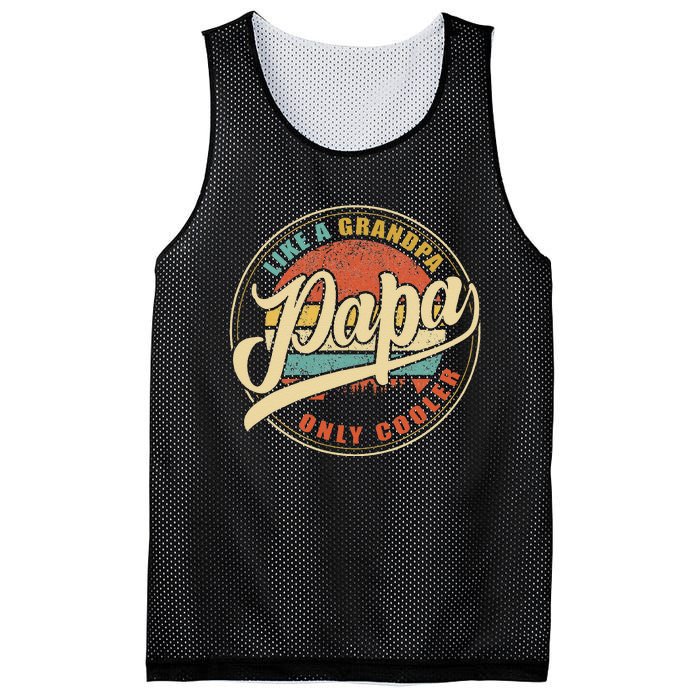 Papa Like A Grandpa Only Cooler Funny Dad Papa Definition Mesh Reversible Basketball Jersey Tank