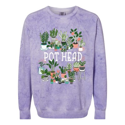 Plant Lover And Gardener Pot Head Succulent Colorblast Crewneck Sweatshirt