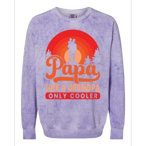 Papa Like A Grandpa Only Cooler Dad Father Definition Meaningful Gift Colorblast Crewneck Sweatshirt