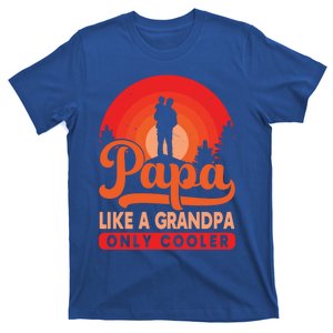 Papa Like A Grandpa Only Cooler Dad Father Definition Meaningful Gift T-Shirt