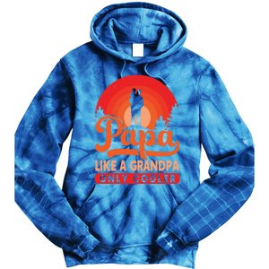 Papa Like A Grandpa Only Cooler Dad Father Definition Meaningful Gift Tie Dye Hoodie