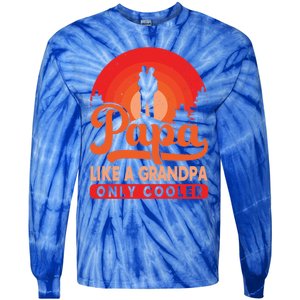 Papa Like A Grandpa Only Cooler Dad Father Definition Meaningful Gift Tie-Dye Long Sleeve Shirt