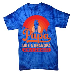 Papa Like A Grandpa Only Cooler Dad Father Definition Meaningful Gift Tie-Dye T-Shirt