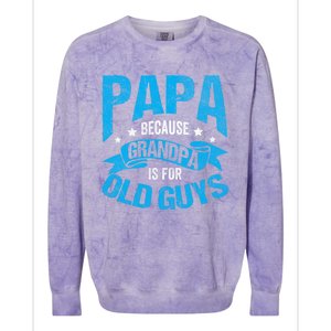 Papa Like A Grandpa Only Cooler Grandma Fatherhood Funny Funny Gift Colorblast Crewneck Sweatshirt