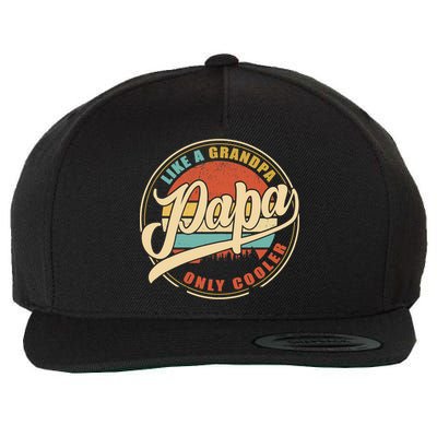 PAPA like a Grandpa ONLY COOLER Funny Dad Papa Definition Tank Top Wool Snapback Cap