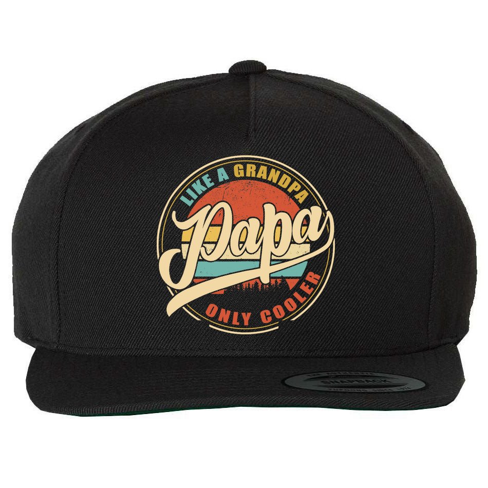 PAPA like a Grandpa ONLY COOLER Funny Dad Papa Definition Tank Top Wool Snapback Cap