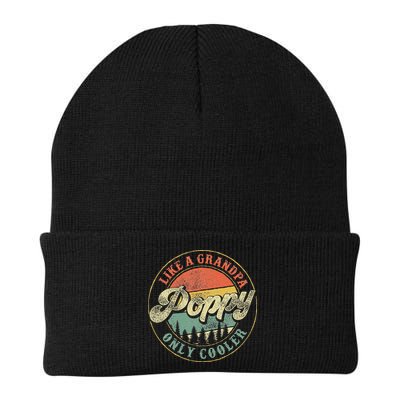 Poppy Like A Grandpa Only Cooler Vintage Retro Poppy Grandpa Beanie