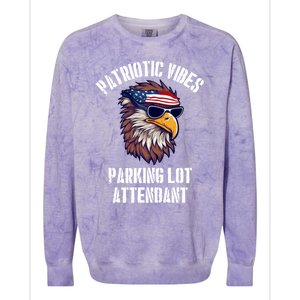 Parking Lot Attendant Eagle July 4th American Flag Usa Funny Gift Colorblast Crewneck Sweatshirt