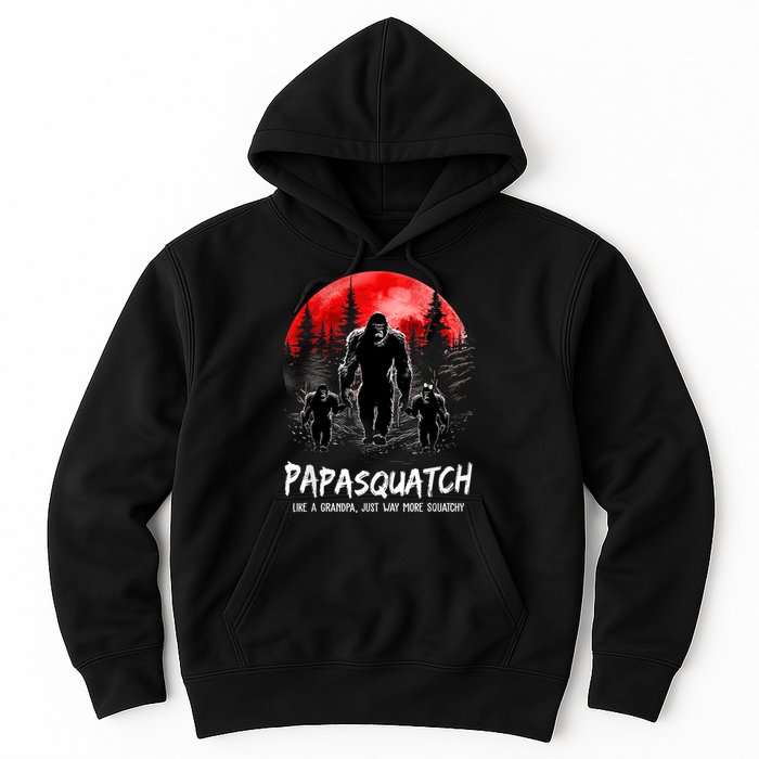 Papasquatch Like A Grandpa Just Way More Squatchy Funny Papa Hoodie