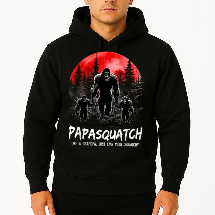 Papasquatch Like A Grandpa Just Way More Squatchy Funny Papa Hoodie