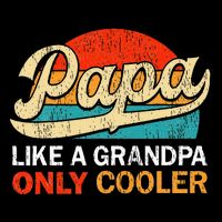 Papa Like A Grandpa Only Cooler Dad Definition Full-Length Apron With Pockets