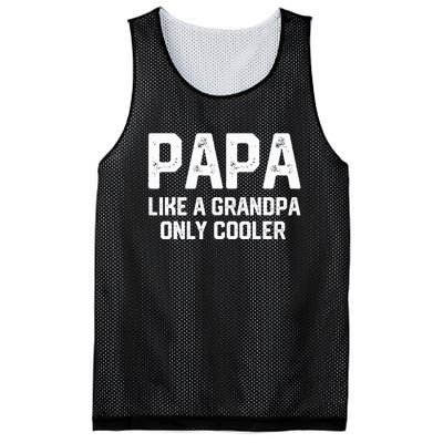 PAPA Like A Grandpa ONLY COOLER Funny Dad Papa Definition Mesh Reversible Basketball Jersey Tank