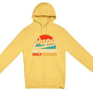 PAPA Like A Grandpa Only Cooler, Funny Dad Definition Retro Premium Pullover Hoodie