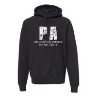 Pa Like A Grandpa But Way Cooler Only Much Fathers Day Premium Hoodie