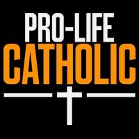 Pro Life Anti Abortion Catholic Flatbill Hat